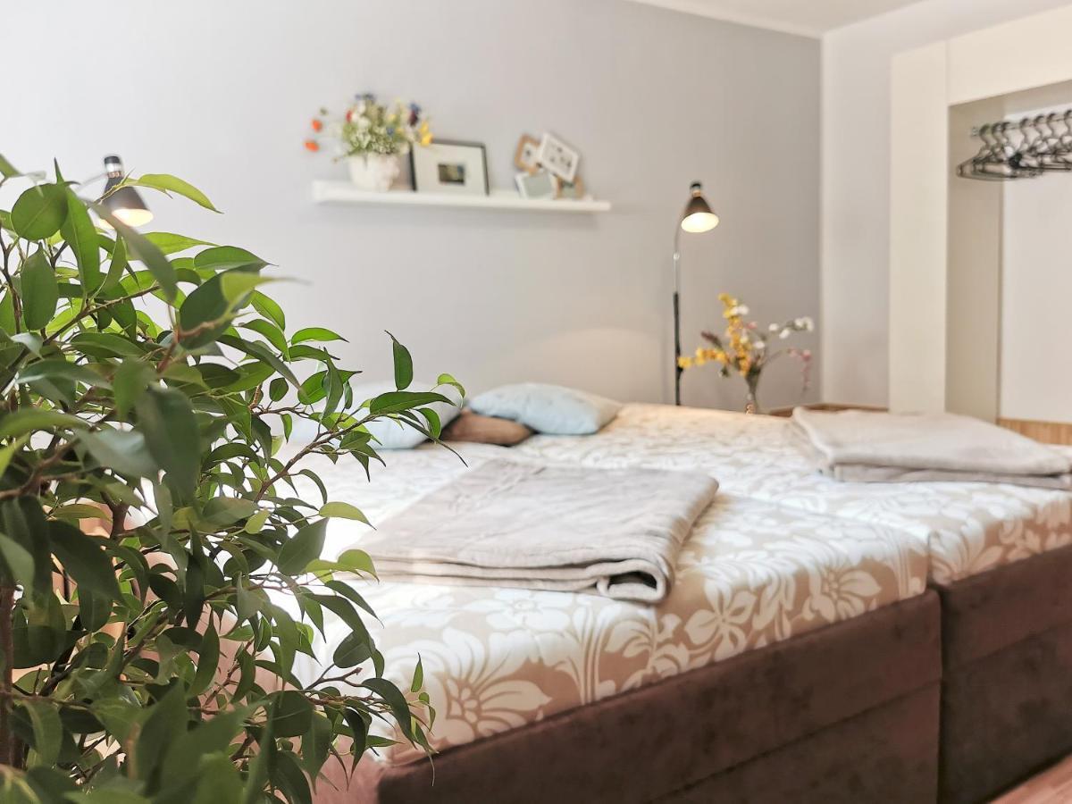 Flex Living - Business- Und Ferienwohnung Wassermann Drezno Zewnętrze zdjęcie